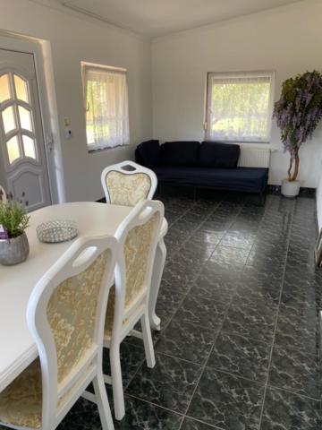 Magic Vendeghaz Apartment Abádszalók Bagian luar foto